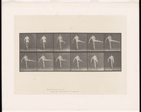 Twelve sequential images of a male dancer in classical ballet positions, shown in profile against a plain background.