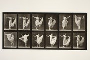 Twelve photographic frames in two rows showing a solo dancer in a white costume rotating through a turning movement, arms changing position across the sequence.