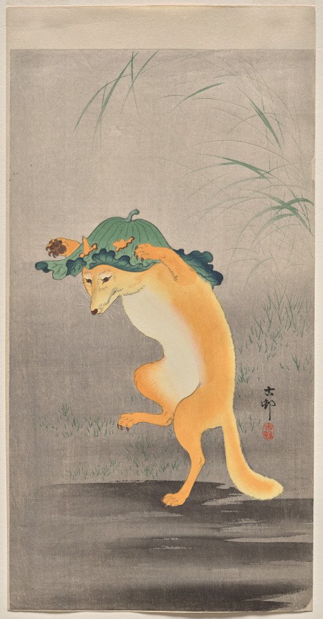 An orange fox with a cream belly stands upright on hind legs, wearing a green ornamental headdress with flowering branches, in a balanced, dance-like pose.