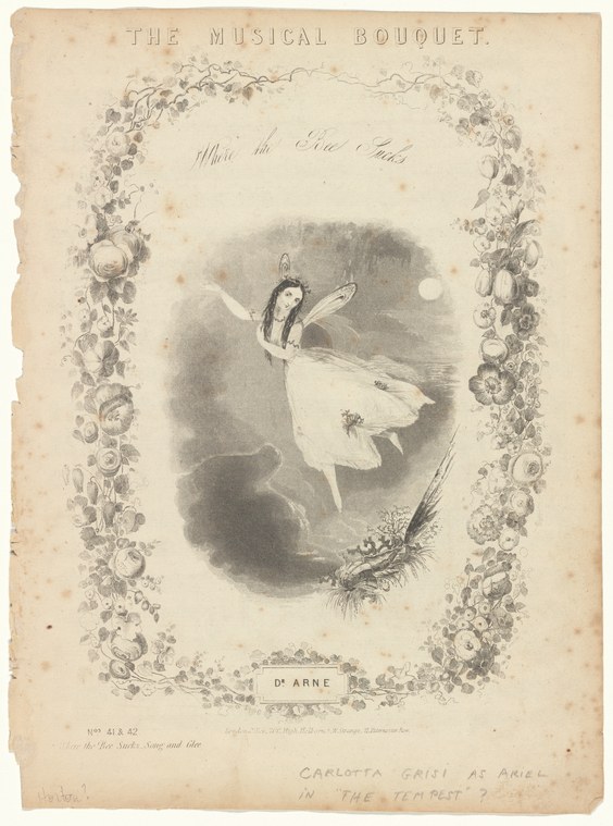 Lithograph of a female ballet dancer in white tutu suspended in air above rocky ground, enclosed in ornate floral border.