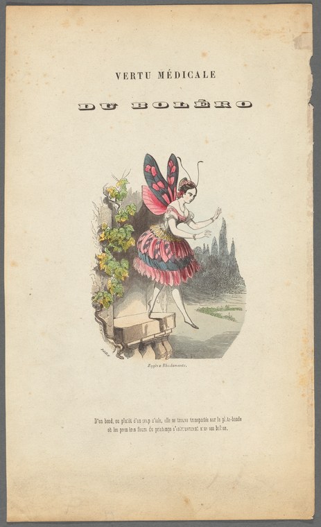 A winged fairy in a pink tulle skirt bends gracefully in a garden, tending climbing vines against a misty landscape of evergreen trees.