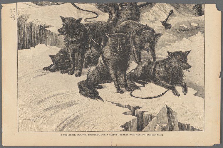 Wood engraving of five sled dogs in harness on snow, leaning into traces, with a cabin and ice landscape behind.