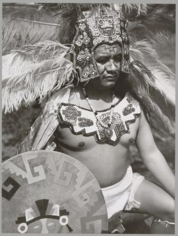 Male dancer in Oaxacan ceremonial costume with massive feathered headdress, geometric body paint, and ornate chest piece, holding a decorated shield.