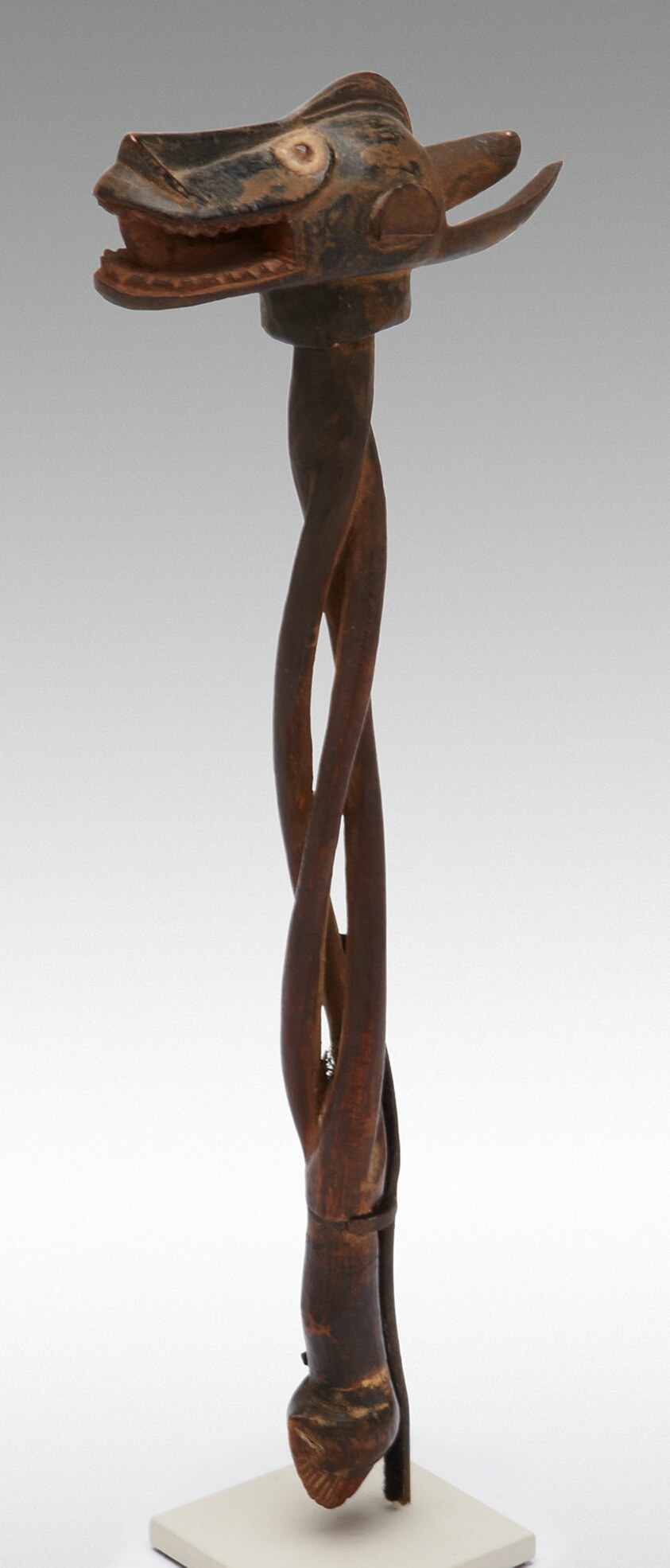 Wooden staff with carved horned animal head, white-marked eye, tapered shaft, from 19th-century Côte d'Ivoire.