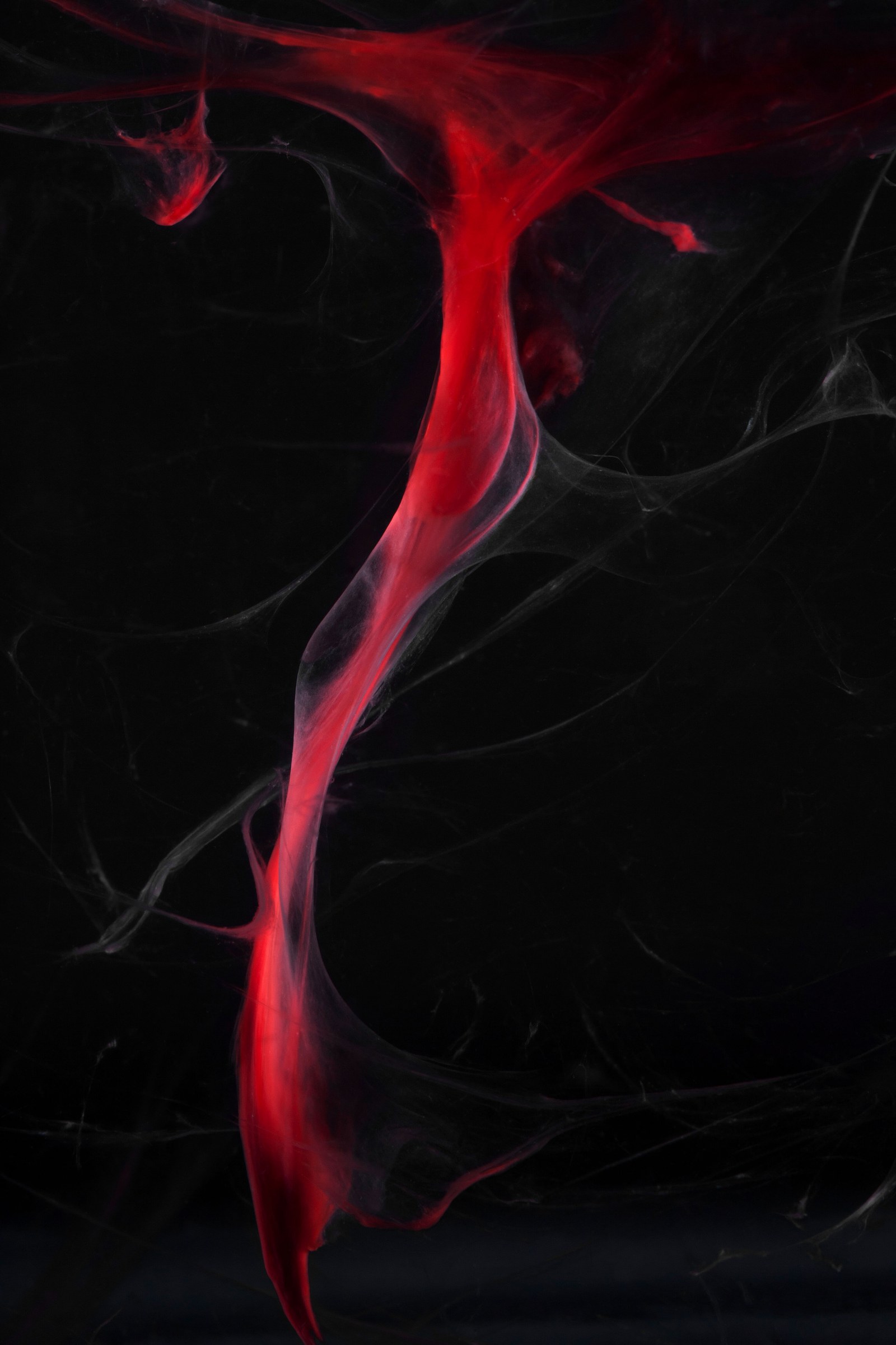 Vertical red luminous form descending through darkness, surrounded by branching gray filaments, against black background.
